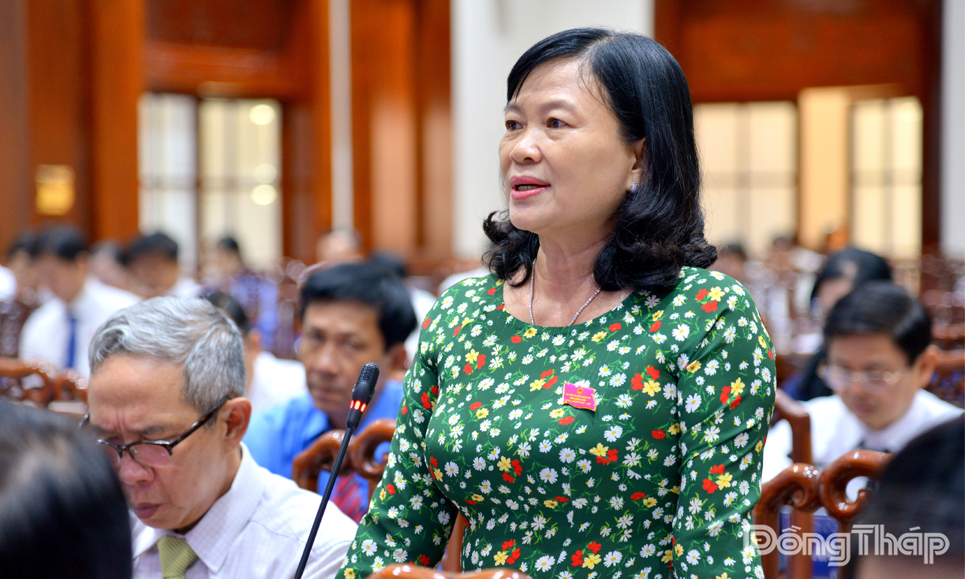 Đại biểu HĐND tỉnh phát biểu thảo luận