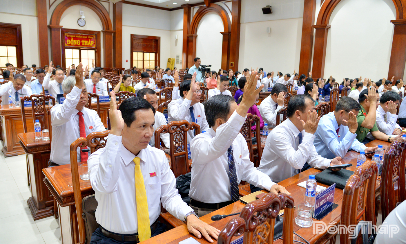 Đại biểu biểu quyết thông qua nghị quyết