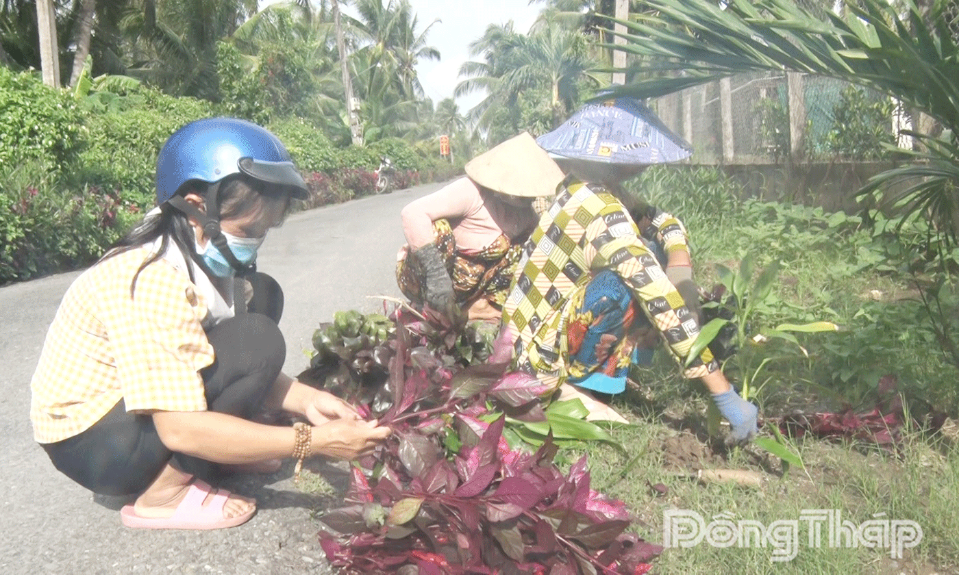 Nhân dân trong ấp tích cực tham gia trồng cây xanh bảo vệ môi trường.