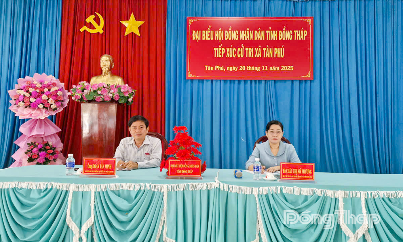 Tổ đại biểu HĐND tỉnh Đồng Tháp, đơn vị bầu cử số 2, do đồng chí Châu Thị Mỹ Phương, Phó Bí thư Tỉnh ủy, Chủ tịch HĐND tỉnh Đồng Tháp làm trưởng đoàn.