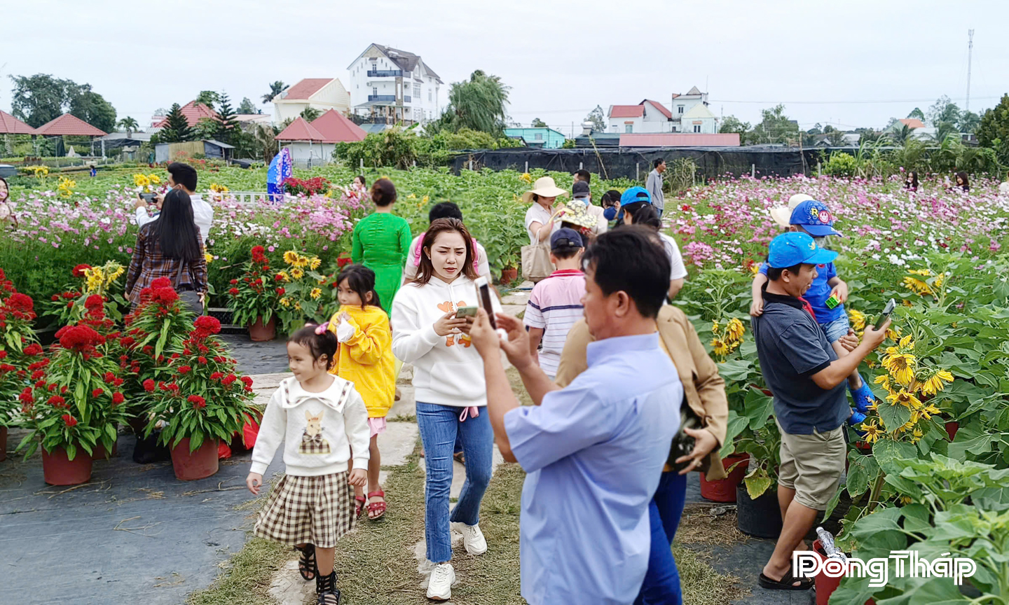 Nông dân làng hoa kết hợp trồng hoa kiểng, với phục vụ khách du lịch  tham quan, trải nghiệm.