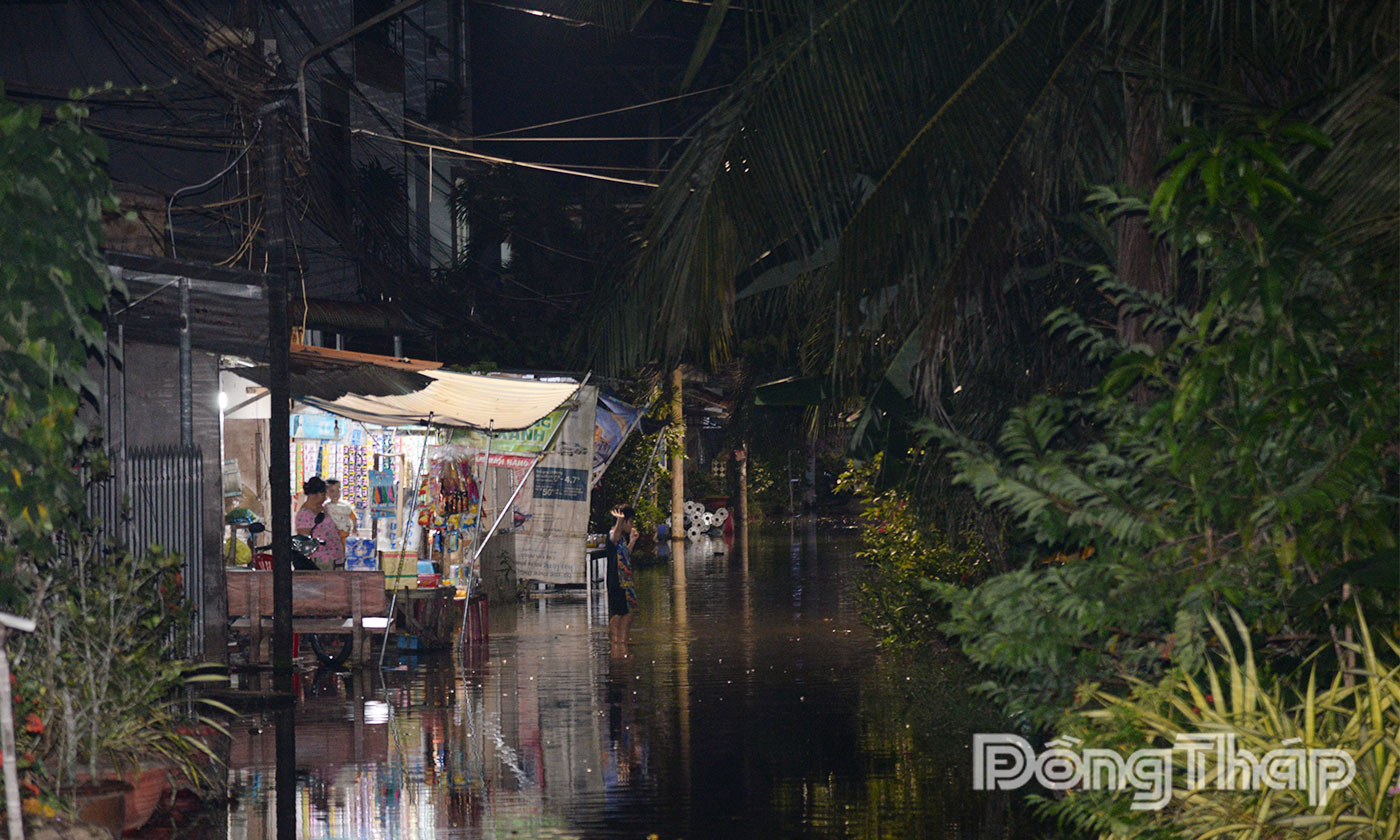 Tuyến đường nhựa tại phường Trung An, tỉnh Đồng Tháp bị ngập vào tối 21-11.
