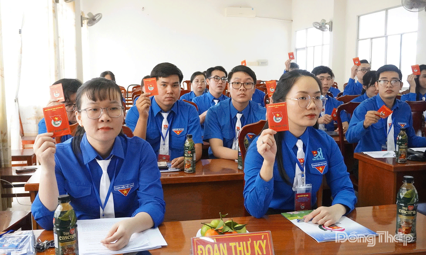 Đại biểu tham gia biểu quyết tại Đại hội