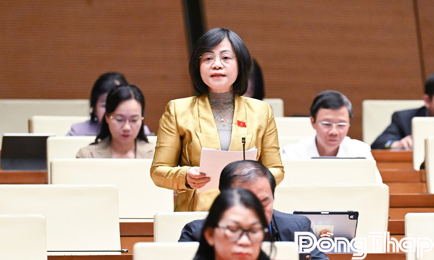 Đại biểu Nguyễn Thanh Cầm phát biểu thảo luận tại hội trường
